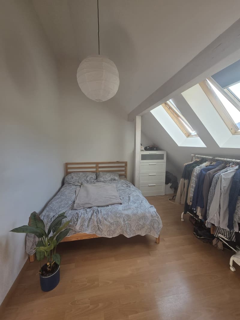 3.5 room apartment with balcony for sublet (3)