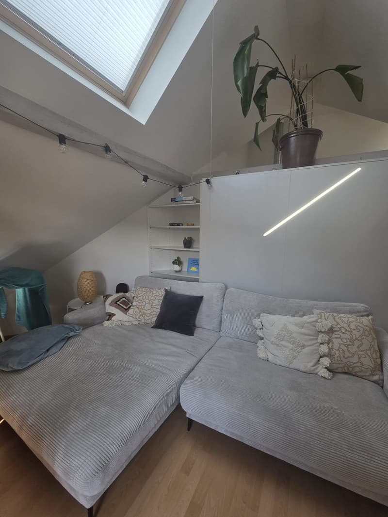 3.5 room apartment with balcony for sublet (7)