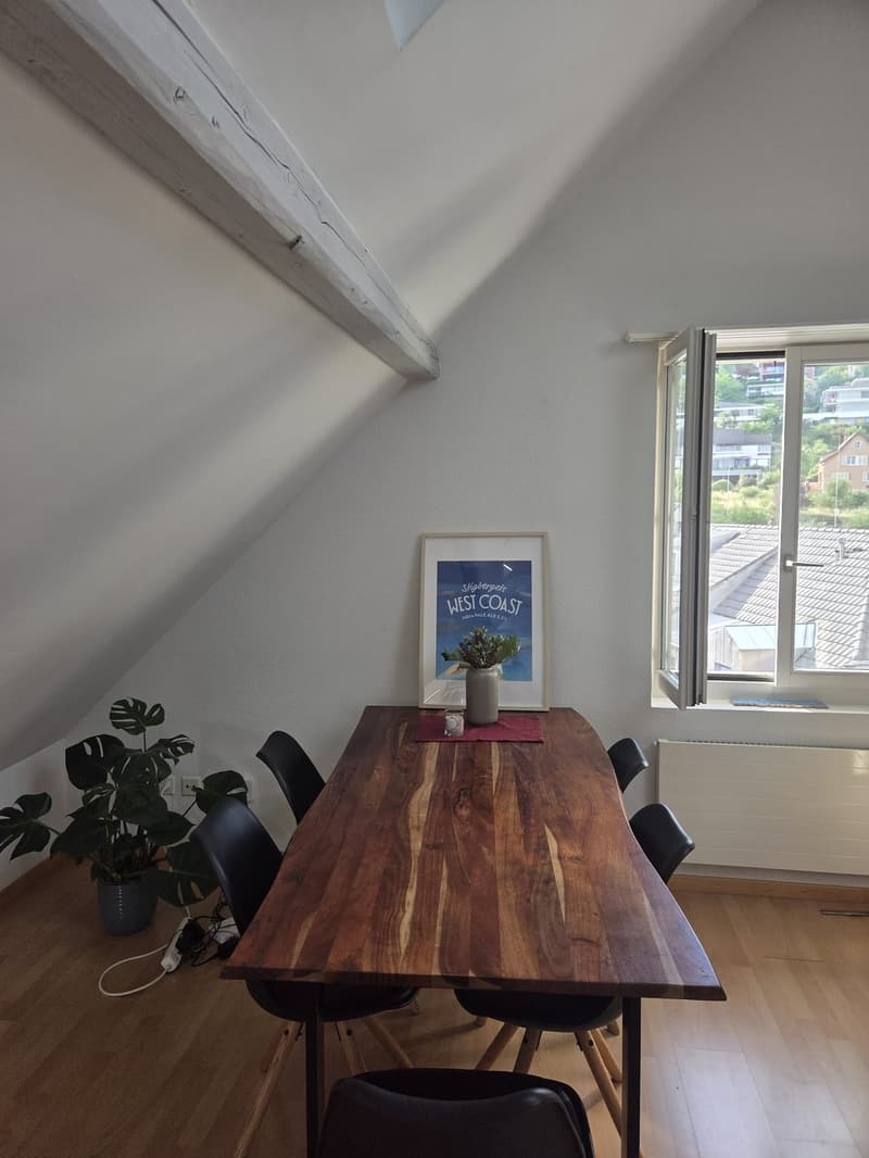 3.5 room apartment with balcony for sublet (1)