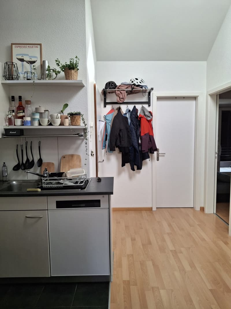 3.5 room apartment with balcony for sublet (6)