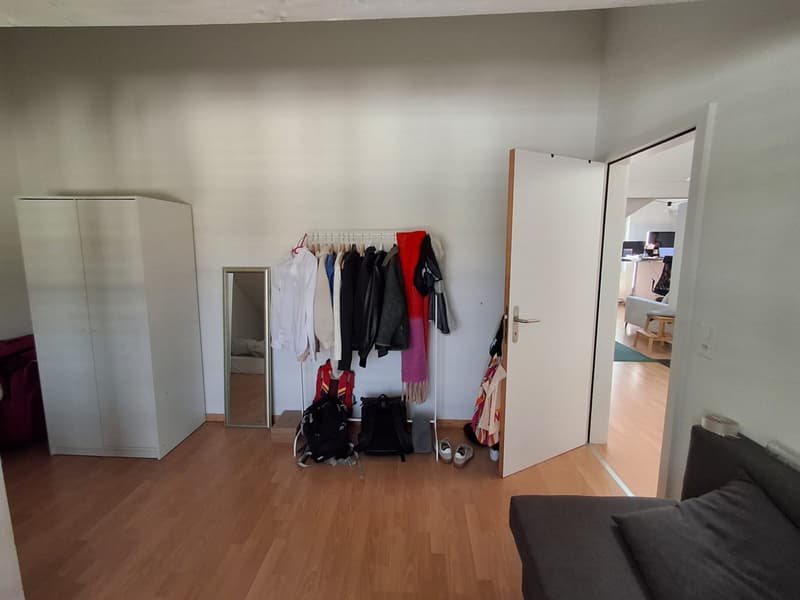 3.5 room apartment with balcony for sublet (5)