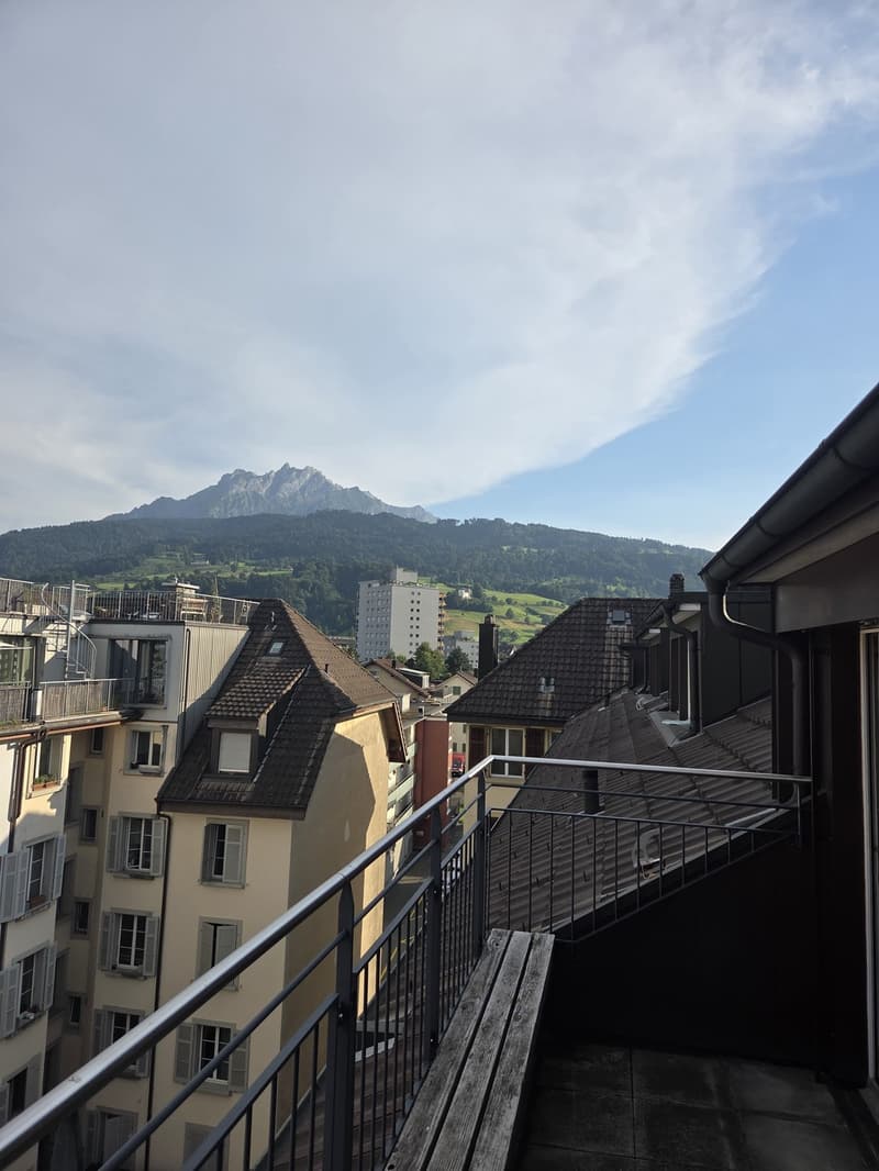 3.5 room apartment with balcony for sublet (2)