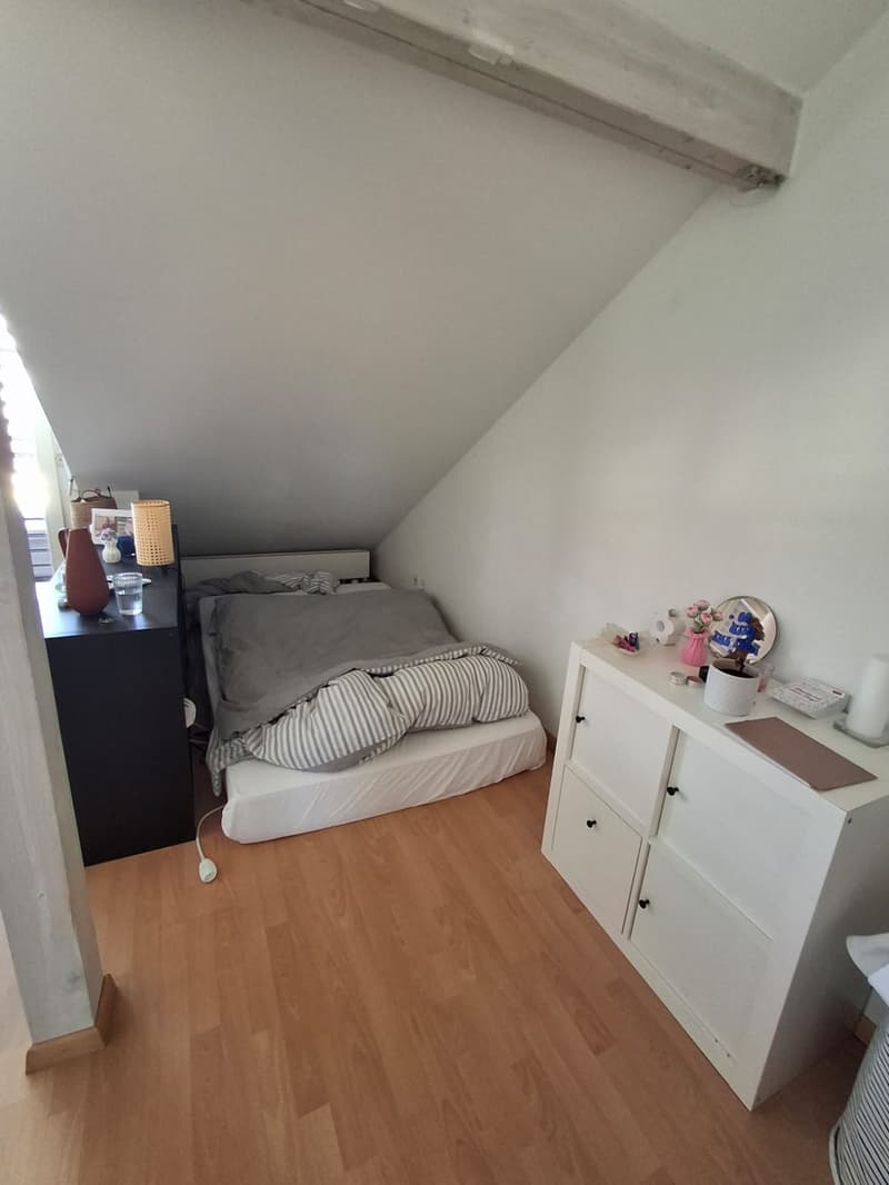 3.5 room apartment with balcony for sublet (4)