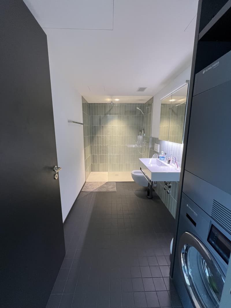 Traumhaftes Wohnen am Emmenufer: Moderne 2.5-Zimmer-Wohnung mit Pilatusblick (8)