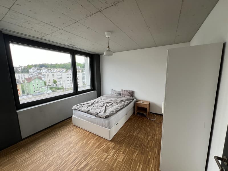 Traumhaftes Wohnen am Emmenufer: Moderne 2.5-Zimmer-Wohnung mit Pilatusblick (2)