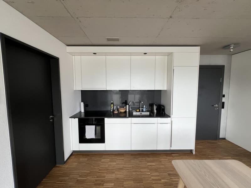 Traumhaftes Wohnen am Emmenufer: Moderne 2.5-Zimmer-Wohnung mit Pilatusblick (6)