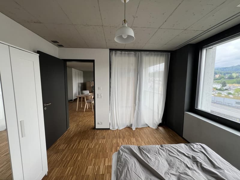Traumhaftes Wohnen am Emmenufer: Moderne 2.5-Zimmer-Wohnung mit Pilatusblick (3)