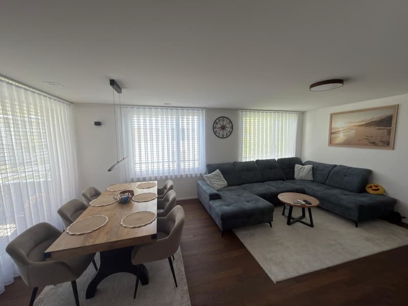 Modern and spacious 2.5-room apartment in Ballwil (4)