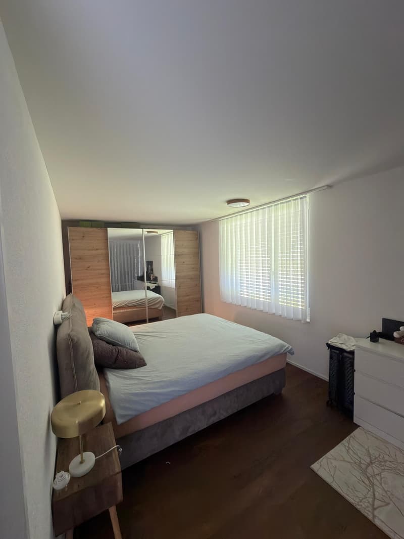 Modern and spacious 2.5-room apartment in Ballwil (7)