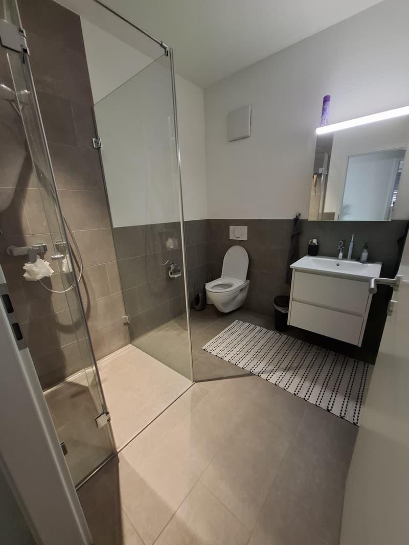 Appartement spacieux 5.5 pièces dans les combles à Neuenhof - moderne, calme et avec une vue magnifique (7)