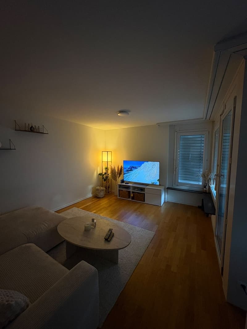 Bright 2.5 room apartment in the center of Regensdorf (6)