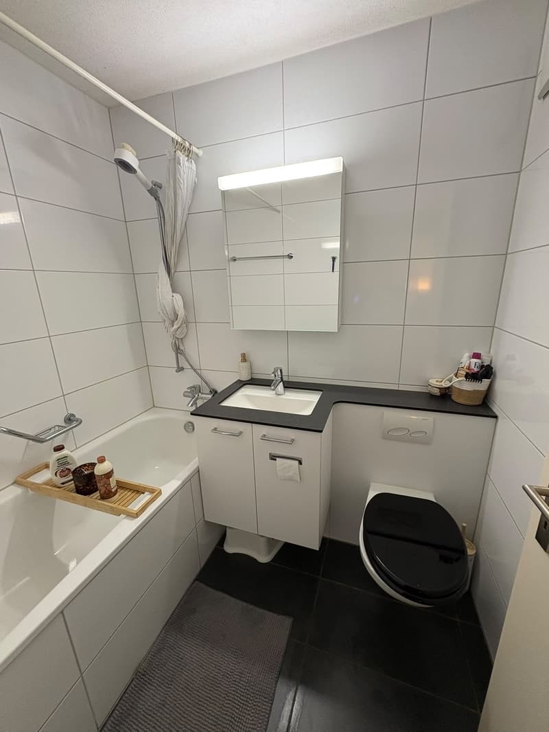Bright 2.5 room apartment in the center of Regensdorf (3)