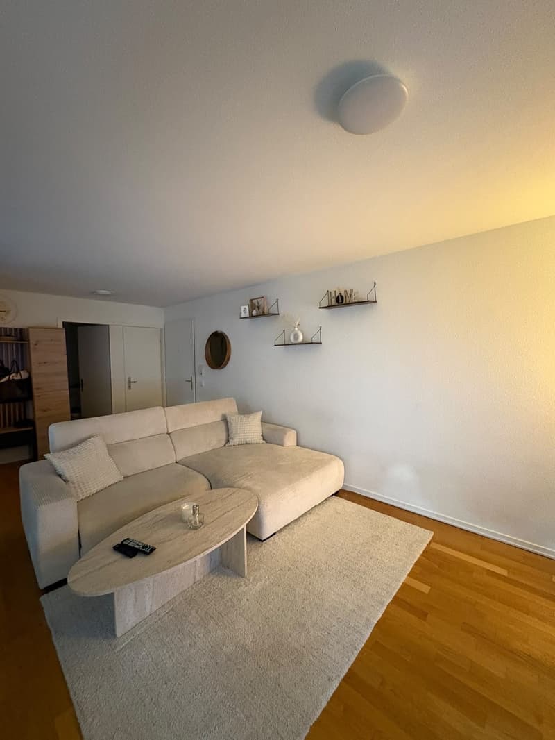 Bright 2.5 room apartment in the center of Regensdorf (4)