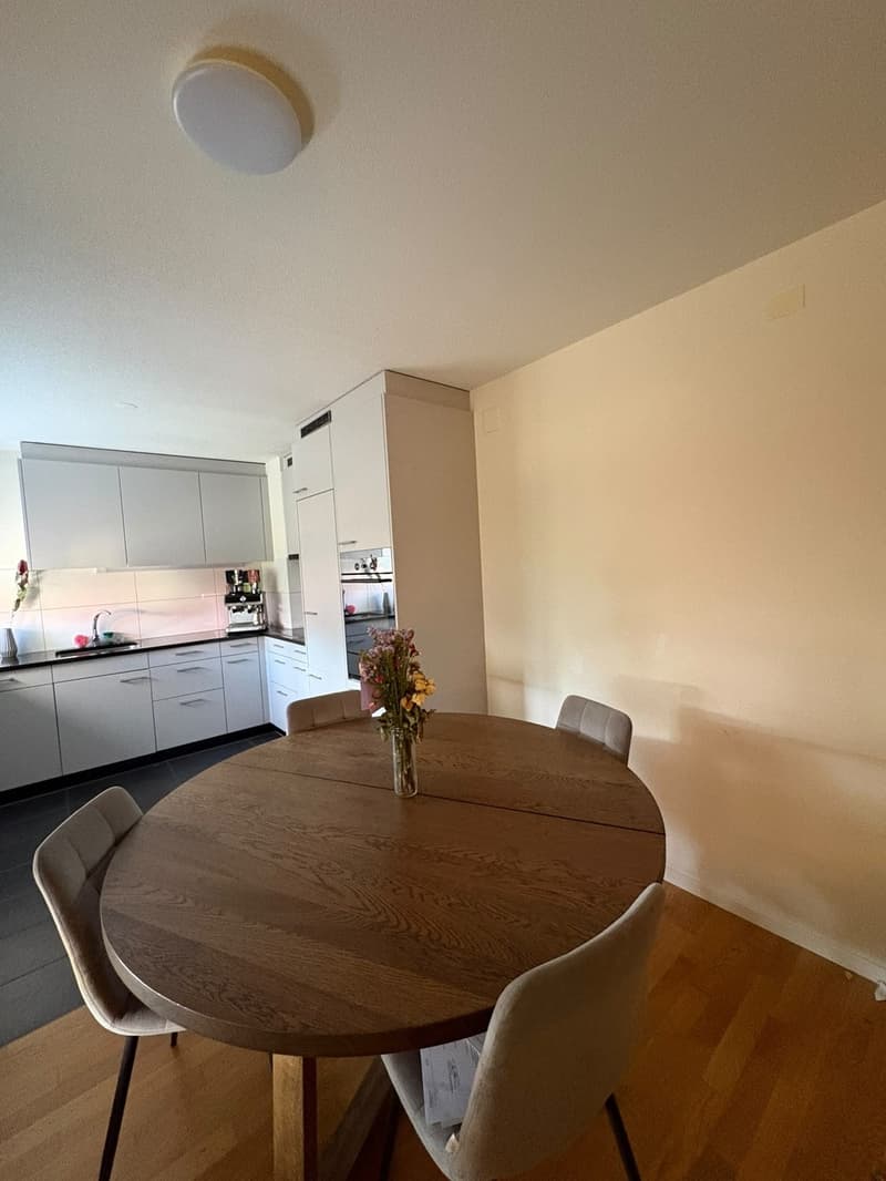 Bright 2.5 room apartment in the center of Regensdorf (5)