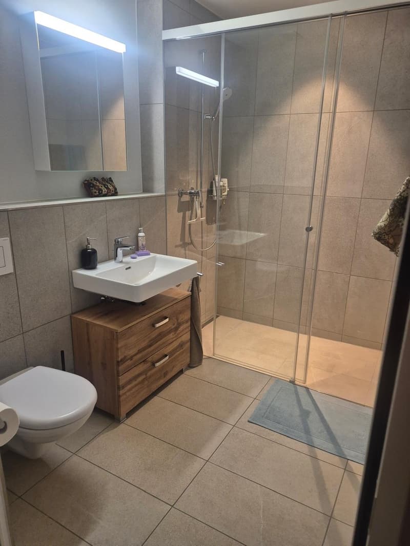 Appartement en attique à couper le souffle directement à la gare de Horgen Oberdorf (3)