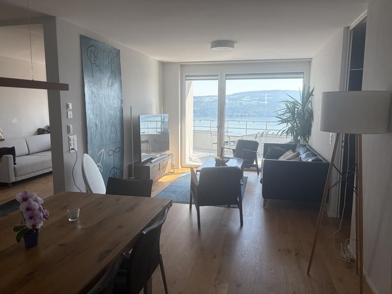 Appartement en attique à couper le souffle directement à la gare de Horgen Oberdorf (1)