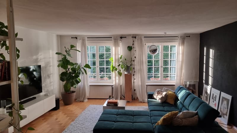 2.5-Zimmer-Wohnung (Winterthur Altstadt) (1)