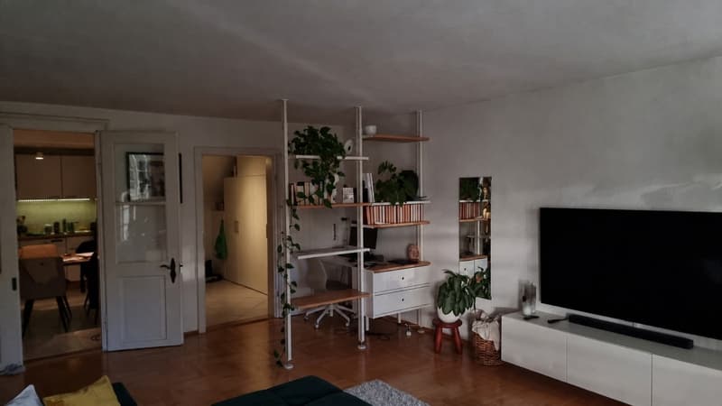 2.5-Zimmer-Wohnung (Winterthur Altstadt) (2)