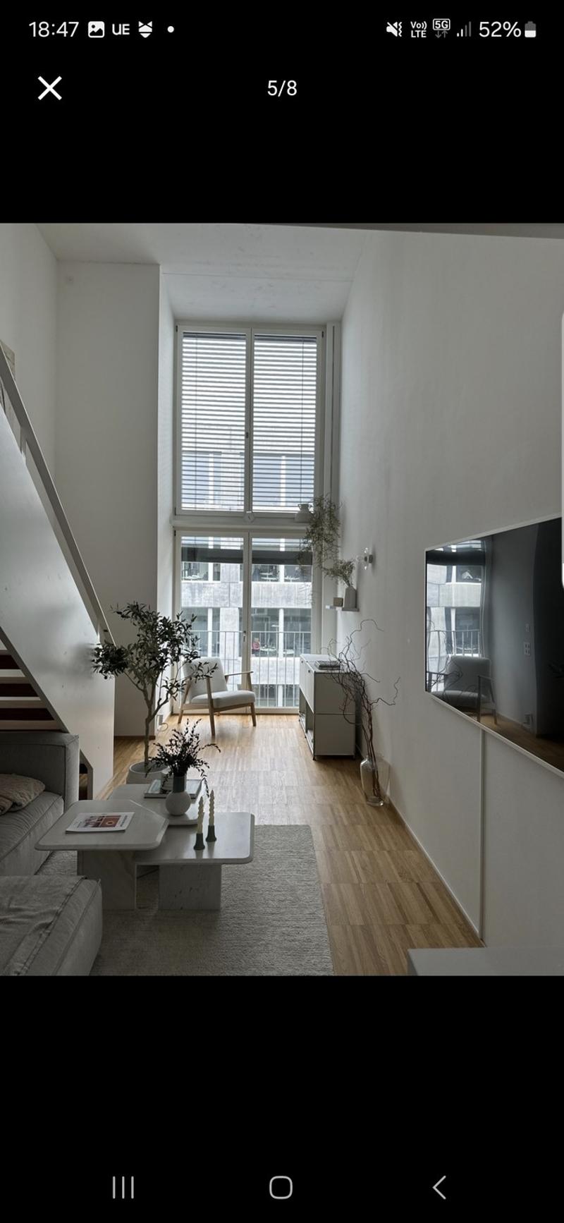 Duplex vicino a Oerlikon (1)