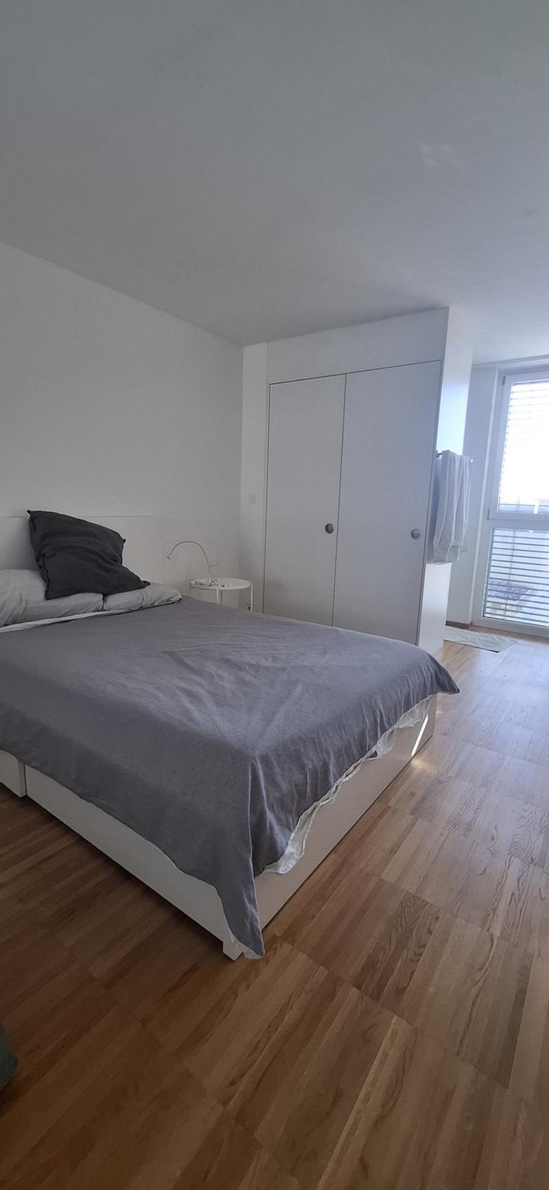 Duplex vicino a Oerlikon (5)