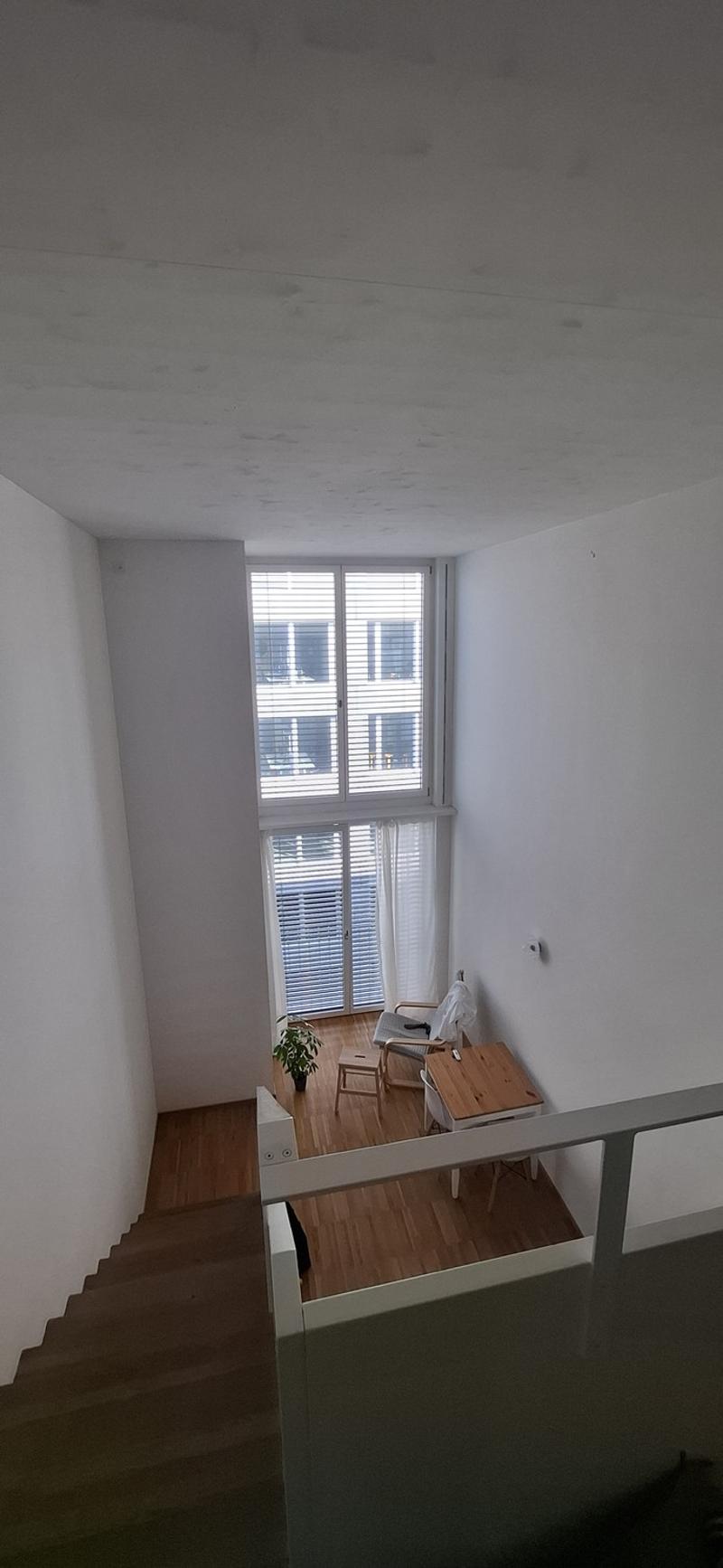 Duplex vicino a Oerlikon (2)