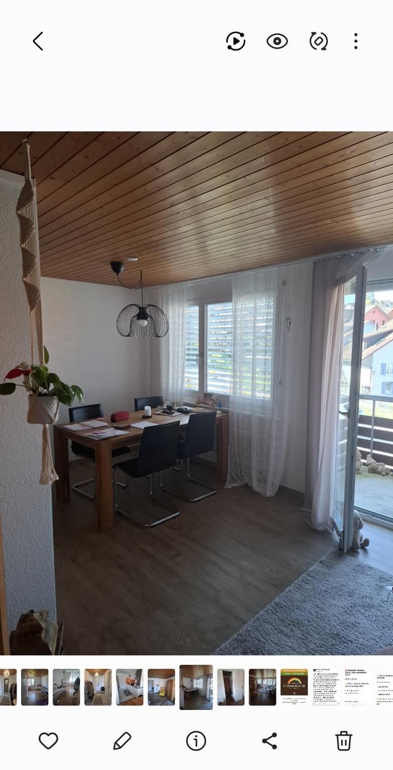 3 ½ Zimmer-Wohnung, 8483 Kollbrunn (4)