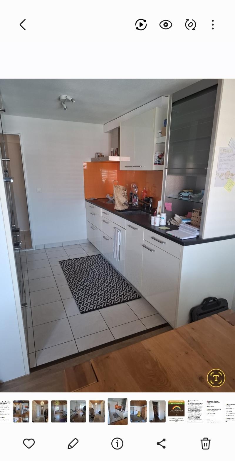 3 ½ Zimmer-Wohnung, 8483 Kollbrunn (3)