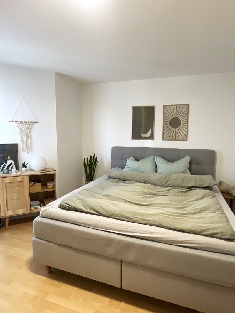 2.5 room apartment for subletting with lake view (4)