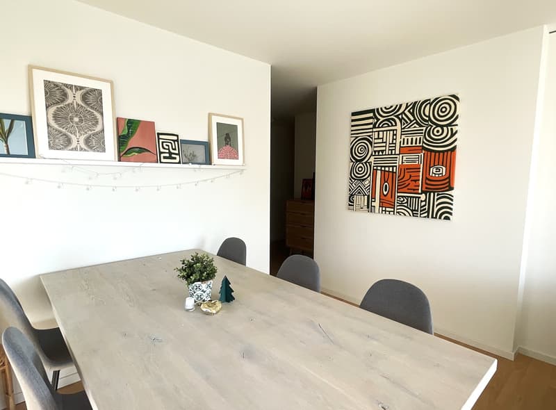 2.5 room apartment for subletting with lake view (3)