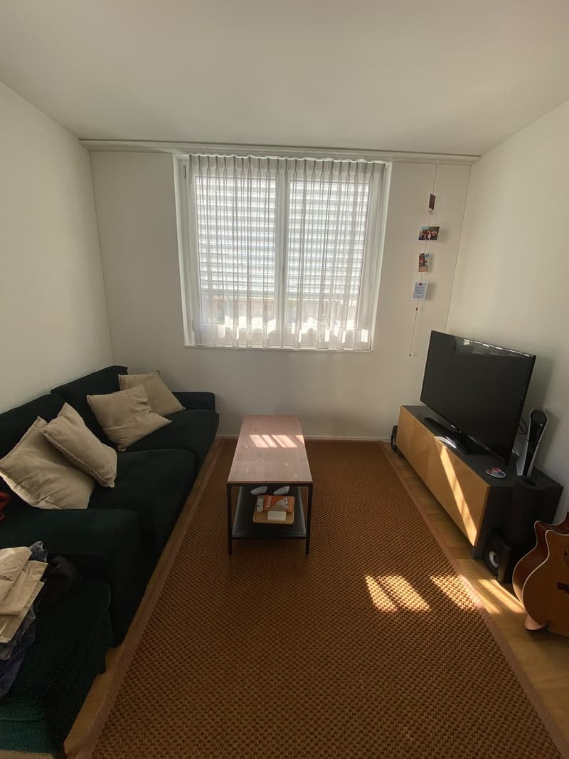 Helle 1.5-Zimmer-Wohnung in Altstetten (Bachmattstrasse)  ab sofort verfügbar (5)
