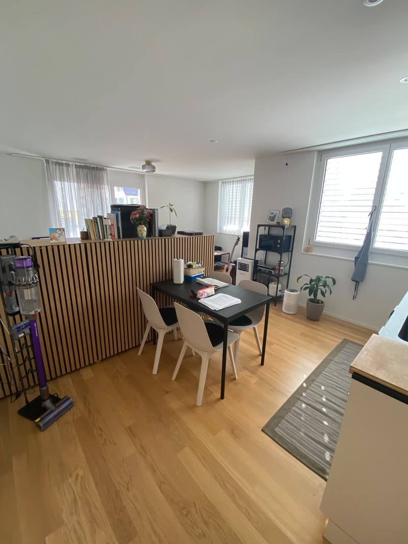 Helle 1.5-Zimmer-Wohnung in Altstetten (Bachmattstrasse)  ab sofort verfügbar (3)