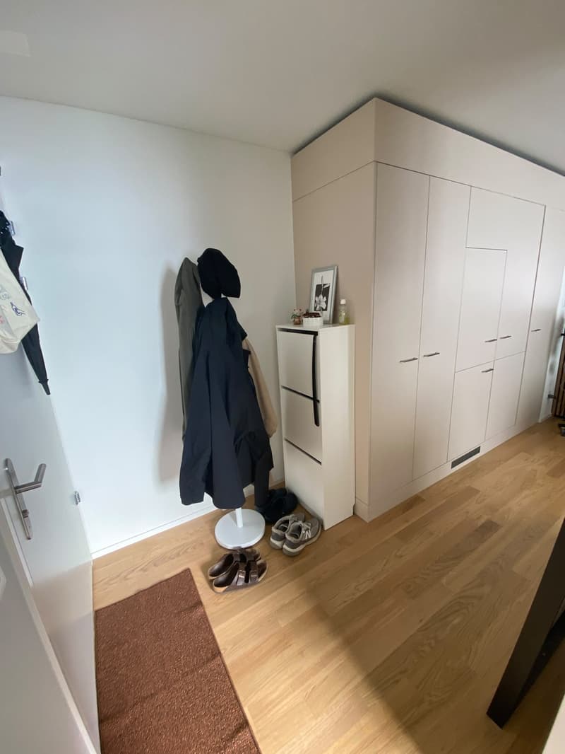 Helle 1.5-Zimmer-Wohnung in Altstetten (Bachmattstrasse)  ab sofort verfügbar (6)
