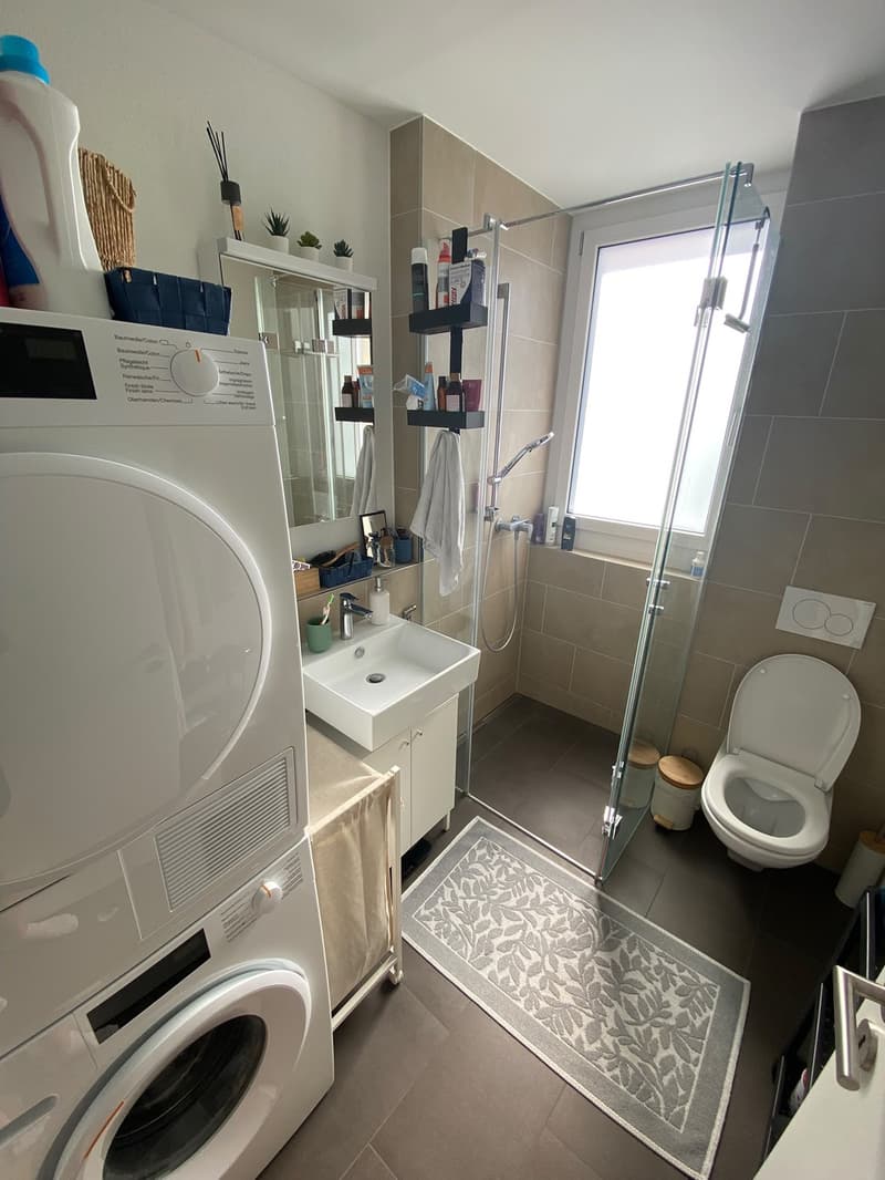 Helle 1.5-Zimmer-Wohnung in Altstetten (Bachmattstrasse)  ab sofort verfügbar (7)