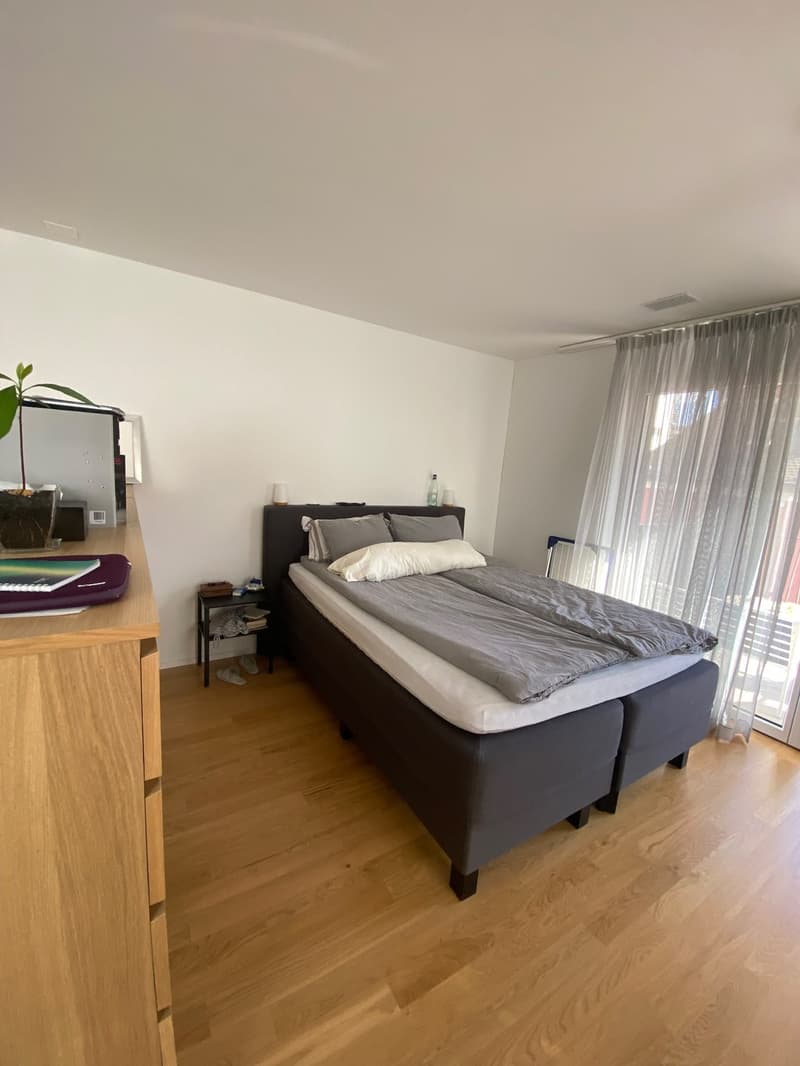 Helle 1.5-Zimmer-Wohnung in Altstetten (Bachmattstrasse)  ab sofort verfügbar (4)