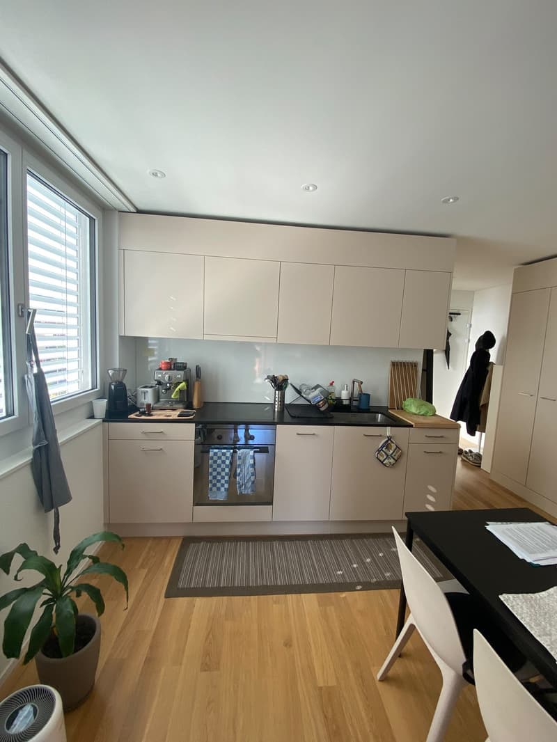 Helle 1.5-Zimmer-Wohnung in Altstetten (Bachmattstrasse)  ab sofort verfügbar (2)