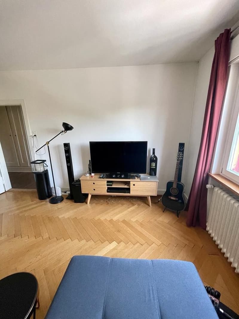 Very beautiful & central apartment in district 3 (2)