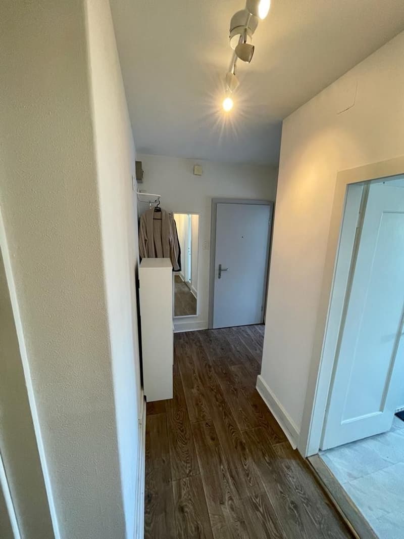 Very beautiful & central apartment in district 3 (7)