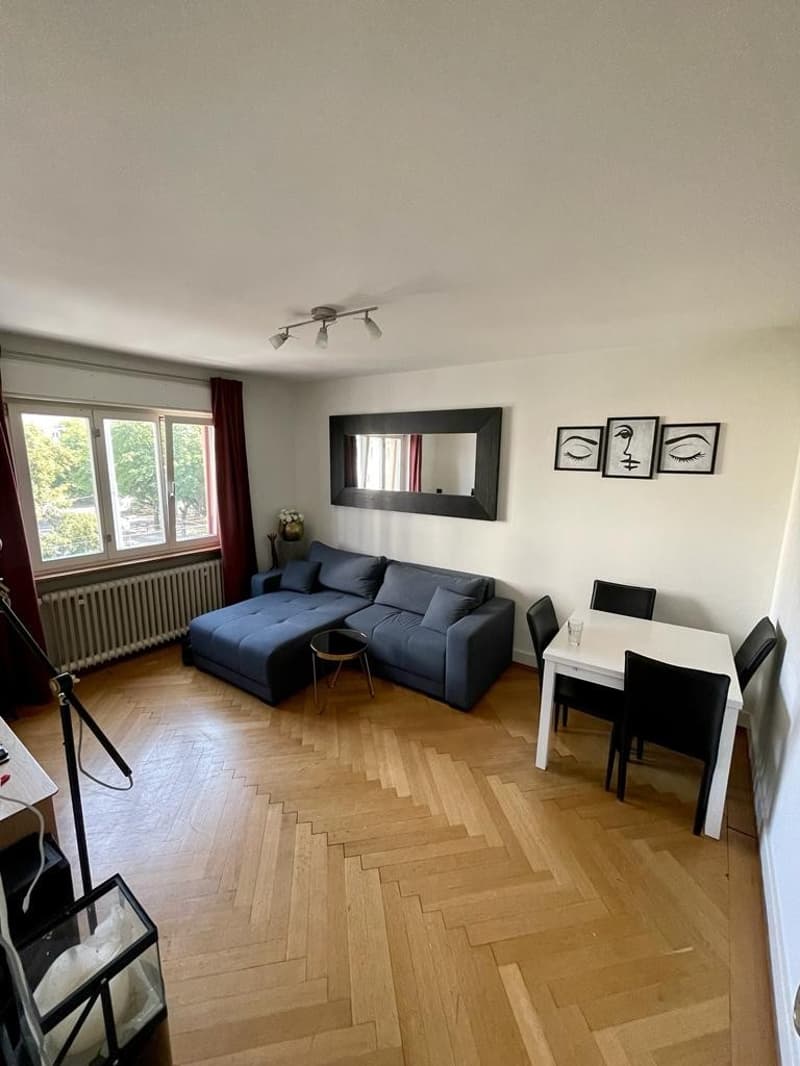 Very beautiful & central apartment in district 3 (1)