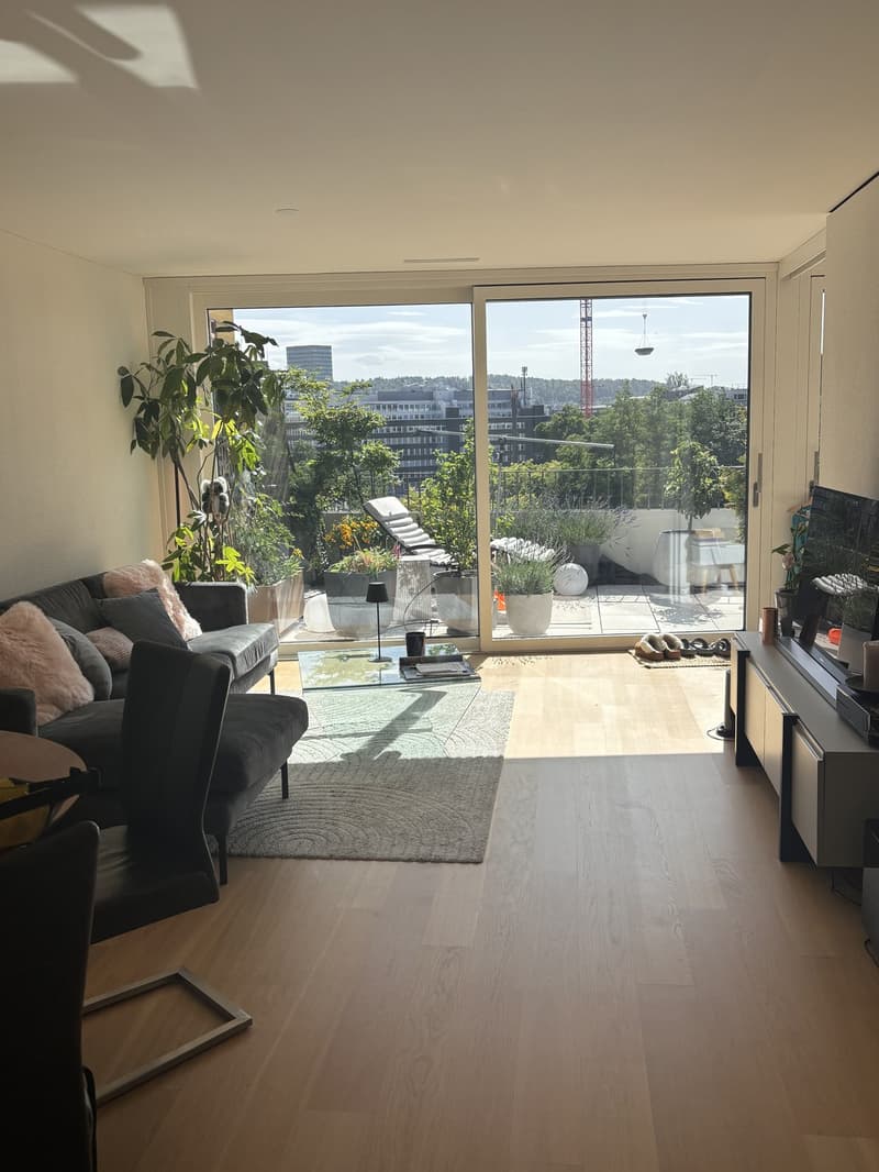 Appartamento mansardato moderno 2.5 locali con grande terrazza a sud-ovest (1)