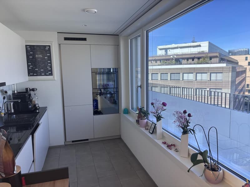 Appartamento mansardato moderno 2.5 locali con grande terrazza a sud-ovest (4)
