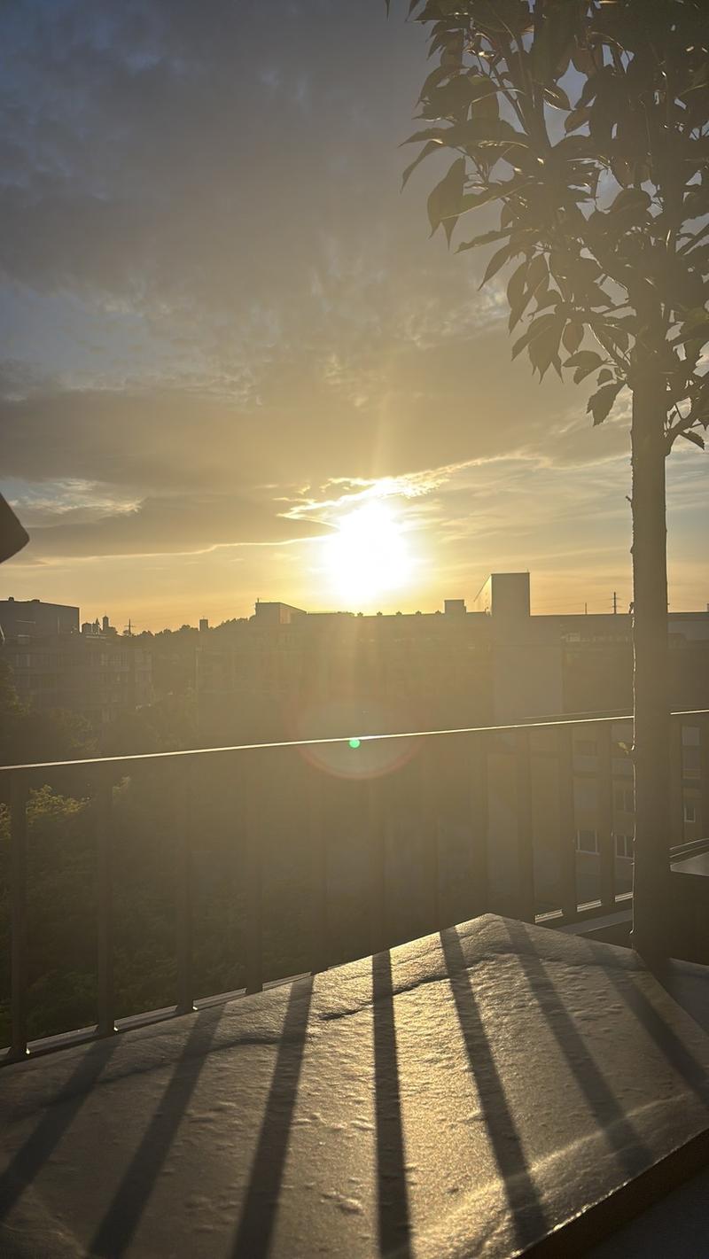 Appartamento mansardato moderno 2.5 locali con grande terrazza a sud-ovest (2)