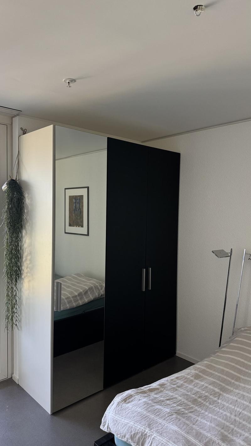 Exclusive furnished apartment in Hochzwei Allmend Lucerne (limited to 12 months) (10)