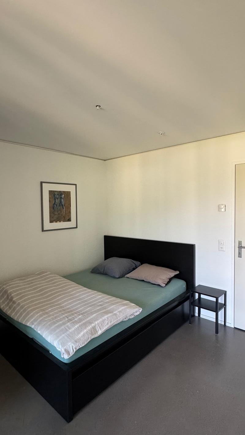 Exclusive furnished apartment in Hochzwei Allmend Lucerne (limited to 12 months) (9)