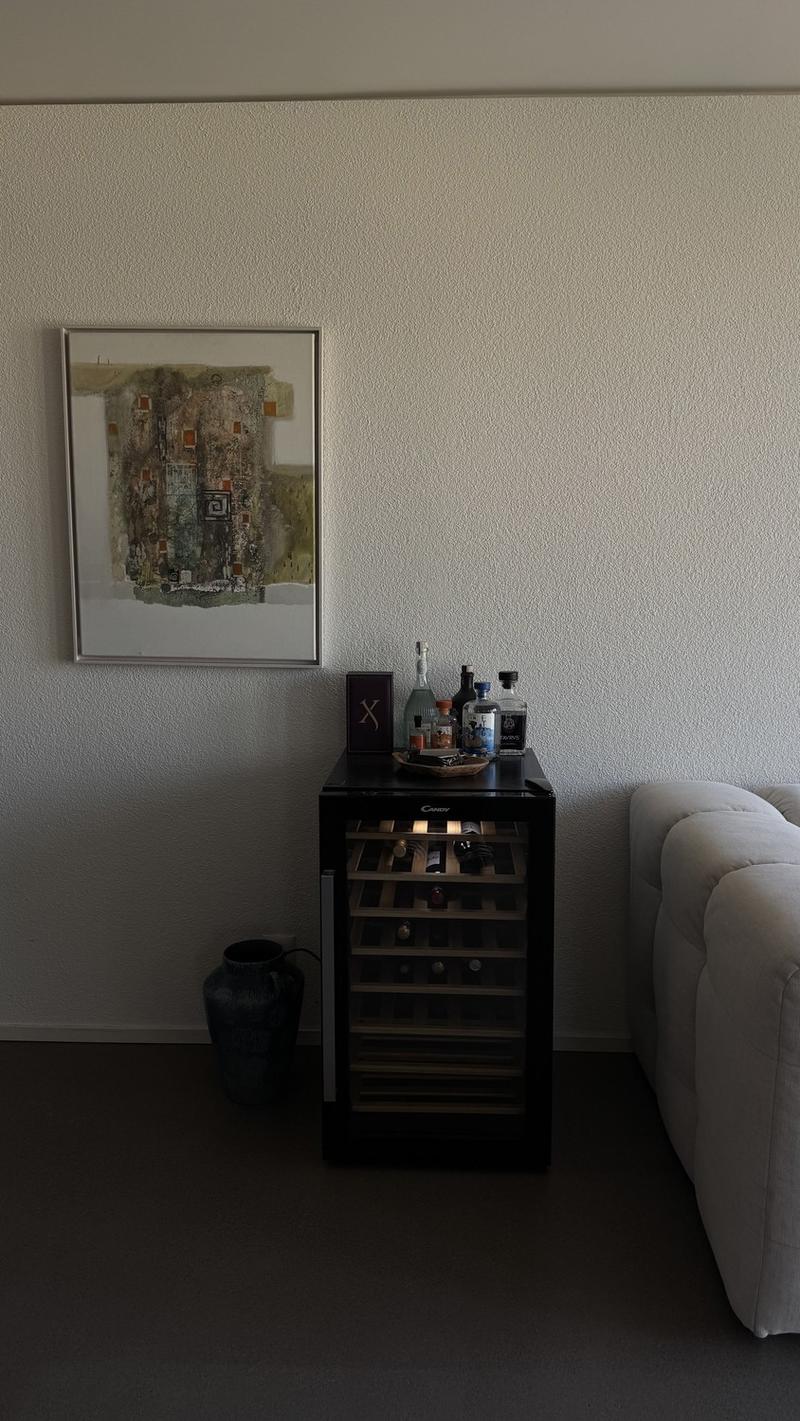 Exclusive furnished apartment in Hochzwei Allmend Lucerne (limited to 12 months) (3)