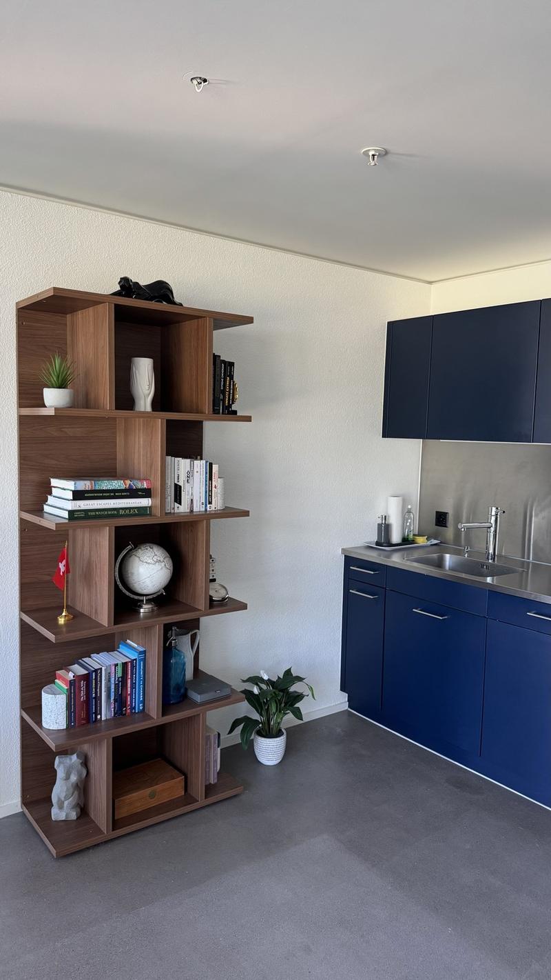 Exclusive furnished apartment in Hochzwei Allmend Lucerne (limited to 12 months) (6)