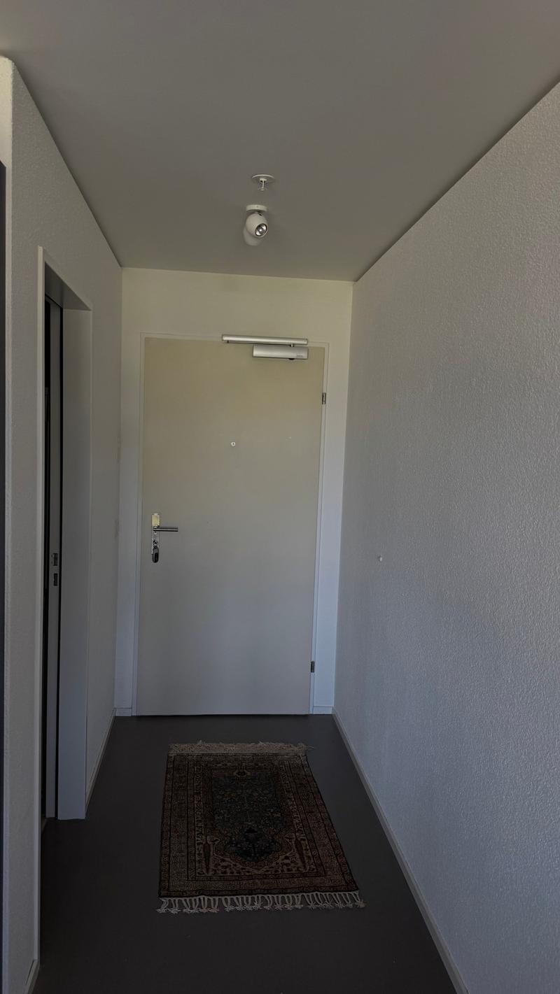 Exclusive furnished apartment in Hochzwei Allmend Lucerne (limited to 12 months) (8)