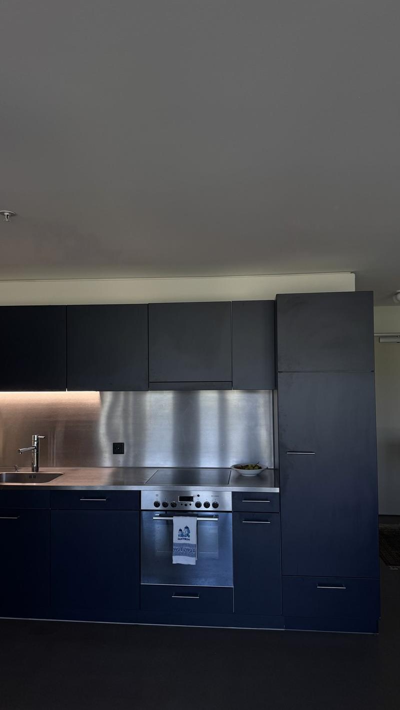 Exclusive furnished apartment in Hochzwei Allmend Lucerne (limited to 12 months) (7)
