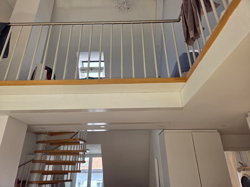 Appartamento loft (11)