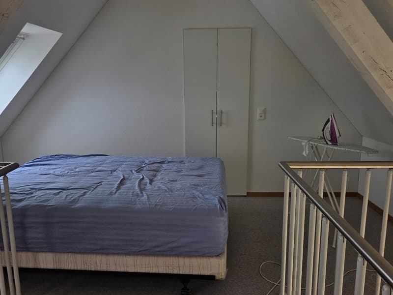 Appartamento loft (2)