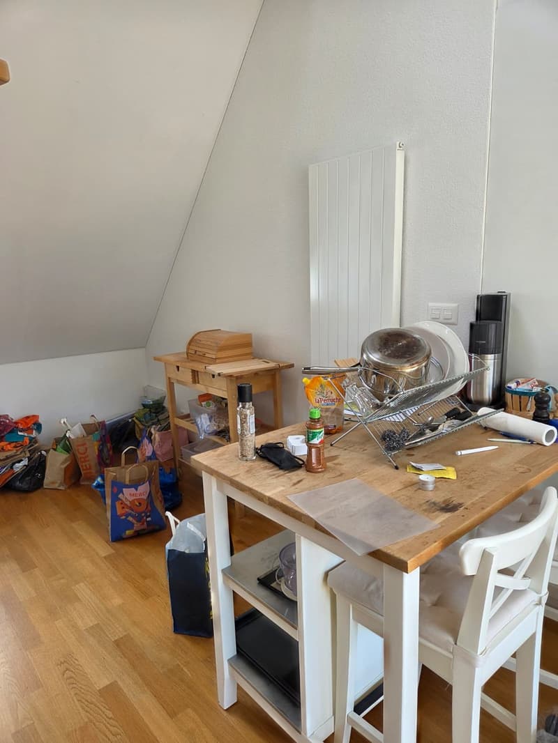 Appartamento loft (12)